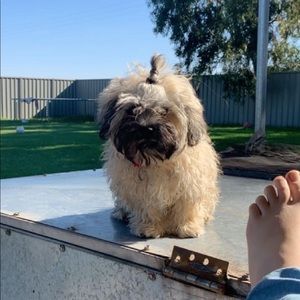 Meet your Posher, Georgia